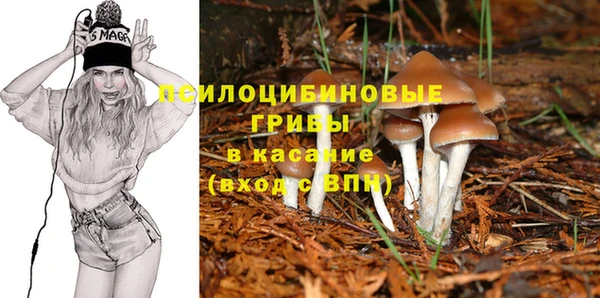 твердый Горно-Алтайск