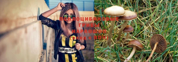 СК Абинск