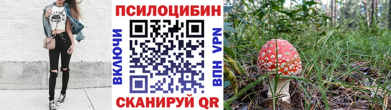 закладки  Спас-Клепики  Галлюциногенные грибы мицелий 